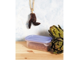 קופסא פריזט מלבנית 650 כתר פלסטיק