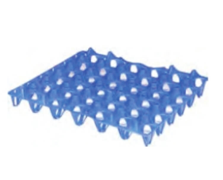 תבנית ביצים כחול פלסטיק 30 יחידות 3