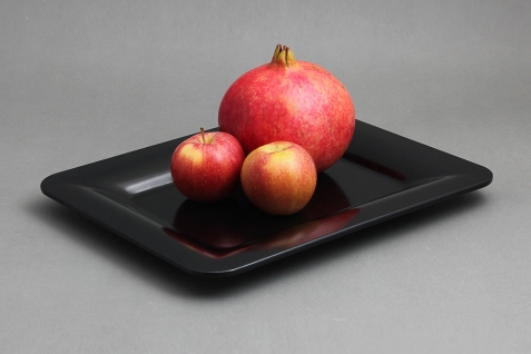 מגש גלובוס גודל 1/2 GN מלמין שחור EFAY 5