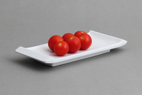 מגש סושי ידיות 9X21 מלמין לבן EFAY 5