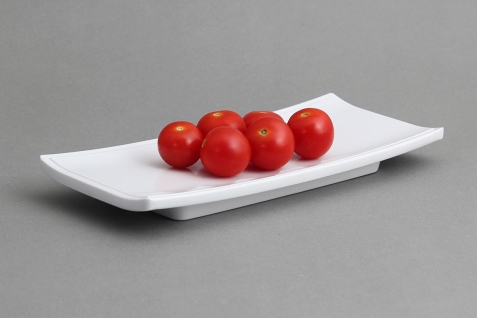 צלחת מלבנית לסושי 24X10.5 מלמין לבן EFAY 5