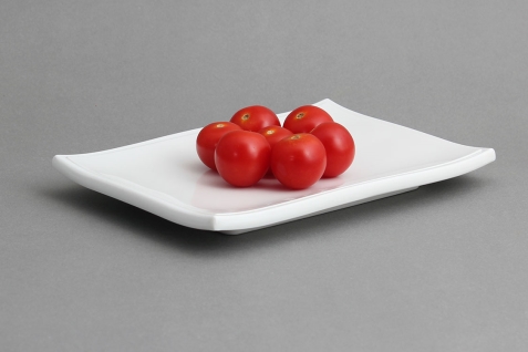 מגש לסושי דק 1X20.5X14 מלמין לבן EFAY 5