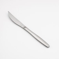 סכין סטייק תדמור תרייסר