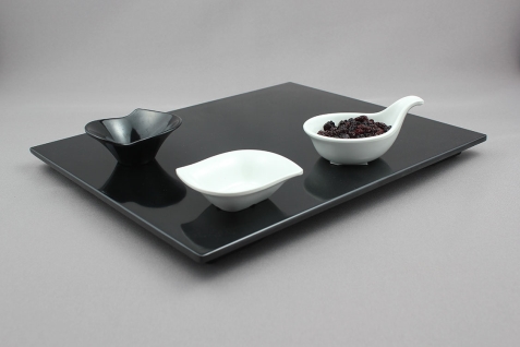 פלטה גסטרונום 1/2 מוגבהת מלמין שחור EFAY 5