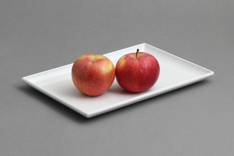 מגש לולבי 17X24.7 מלמין לבן EFAY 5