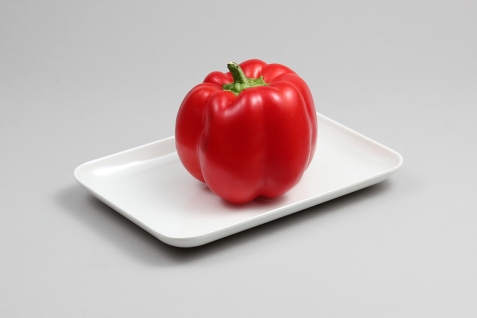 מגש אמי 21*14 ס"מ מלמין לבן 5