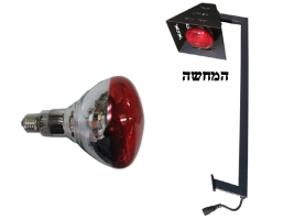 נורת חימום אדומה BR125 למעמדי חימום 2626 ( 250 וואט)