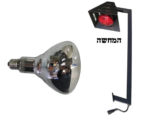 נורת חימום לבנה BR125 למעמדי חימום 2626 3