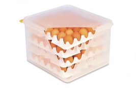 תבנית פוליפרופילן 2/3/200 +8 תבניות לביצים עם מכסה אטום ARAVEN