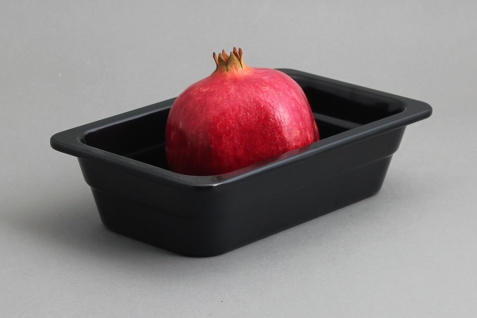 גסטרונום מלמין 1/4-65 שחור Efay 5