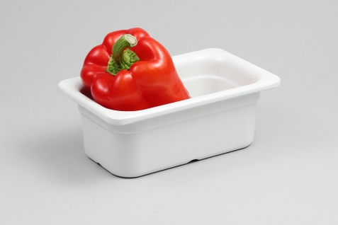 תבנית גסט' מלמין 1/9-65 לבן EFAY 5