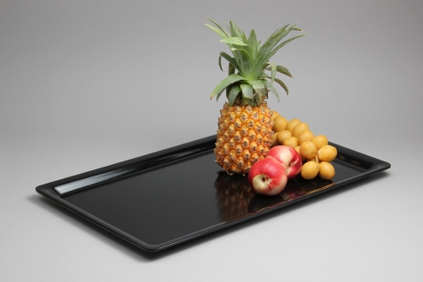 גסטרונום מלמין סלים 1/1-20 שחור EFAY 7