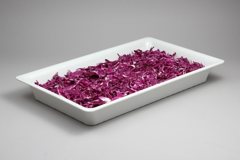 גסטרונום מלמין סלים 1/1-65 לבן 5