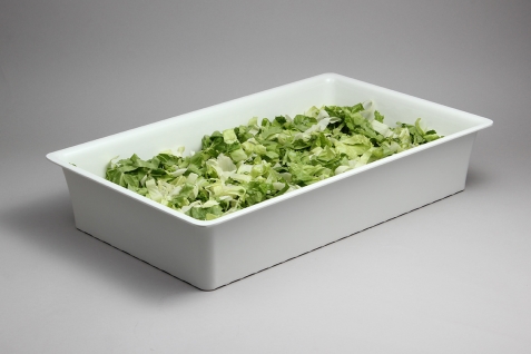 גסטרונום מלמין סלים 1/1-100 לבן EFAY 5