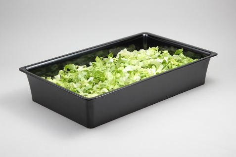 גסטרונום מלמין סלים 1/1-100 שחור EFAY 5