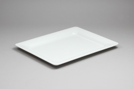 גסטרונום מלמין סלים 1/2-20 לבן