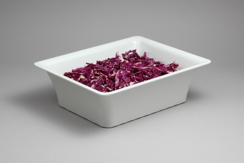 גסטרונום מלמין סלים 1/2-100 לבן 5